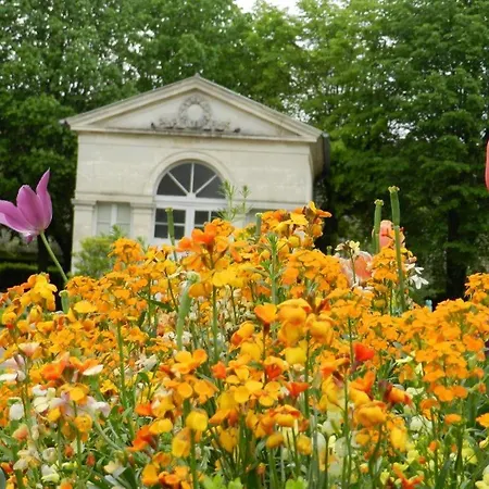 Appartement Le Faubourg-raines - Chaleureux A 5mn De La Gare Dijon