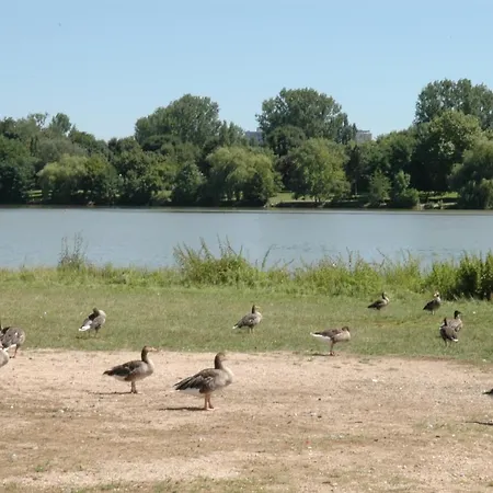 Le Faubourg-raines - Chaleureux A 5mn De La Gare Appartement *