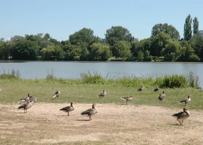 Le Faubourg-raines - Chaleureux A 5mn De La Gare Apartament *